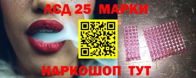 гидропоника Новокубанск