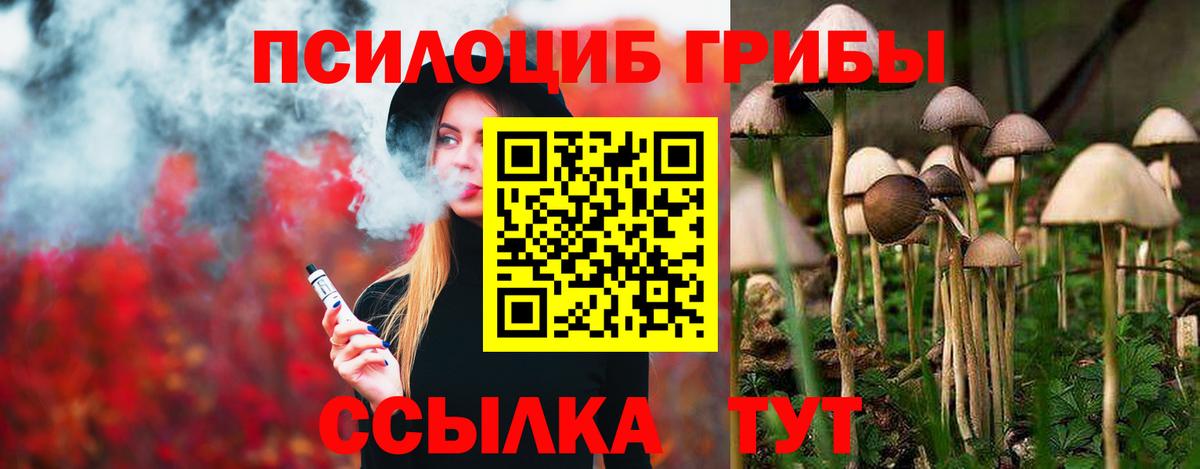 Галлюциногенные грибы прущие грибы  Вход с VPN  Галлюциногенные грибы Cubensis  Тверь 