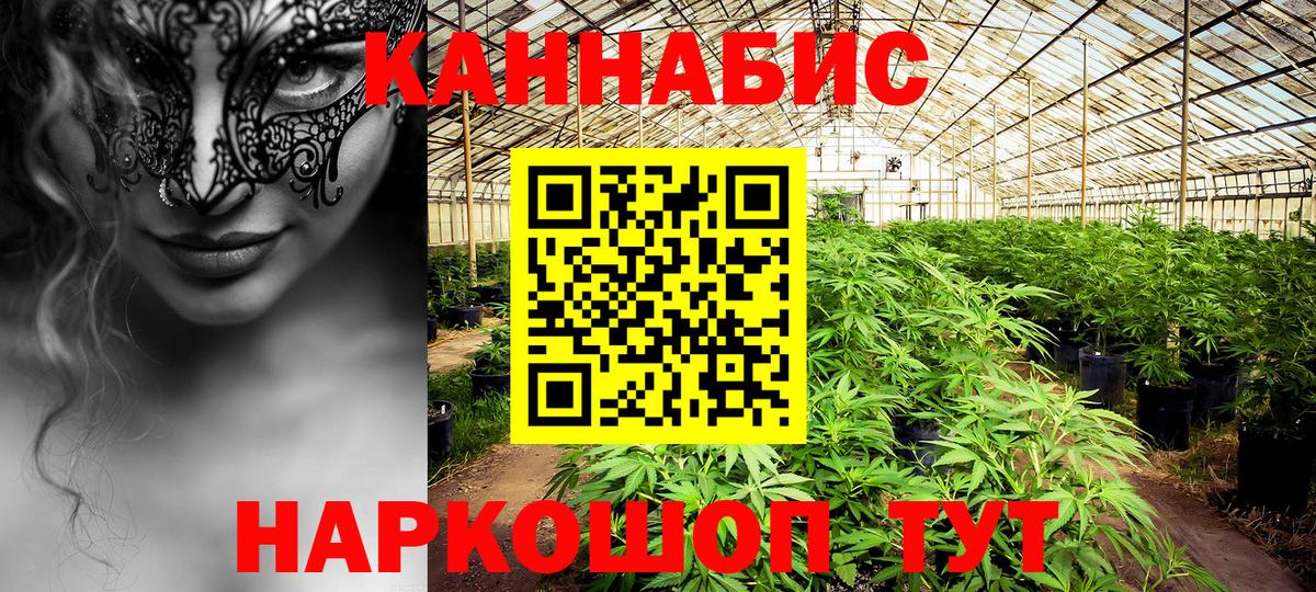 Бошки Шишки MAZAR Тверь