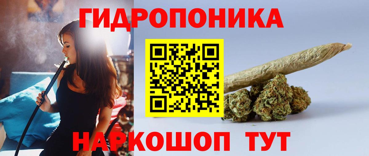 Тверь  Канабис сатива  Вход с VPN  Конопля планчик 